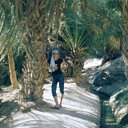  , , 42  -  2  2011    2002