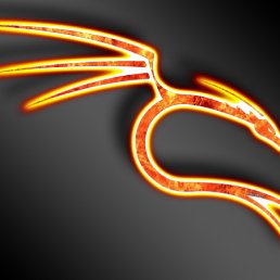 ���� �������, ���������, 48 ��� - ��������� 1 ������� 2011