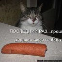 ���� ~��, ���...~, �������, 36 ��� - ��������� 28 ������� 2010 � ������ ����� ������� � ������� ��������