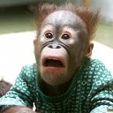 ���� ������, �����, 37 ��� - ��������� 5 ������ 2011 � ������ ���� ����������