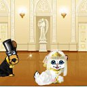 ���� ����, ��������, 44 ���� - ��������� 28 ������ 2010