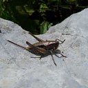 �������� 2, ������ � ��������)) ���������� �� ��� 3 �������� �� �������� ..�_� �� ������� ���� ����������