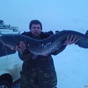 ���� ����, ����������, 41 ��� - ��������� 15 ��� 2011 � ������ ���� ����������