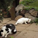 ���� Sergej, ��������, 67 ��� - ��������� 6 ����� 2012 � ������ ���� ����������