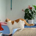 ���� �������, ��������� - ��������� 29 ������� 2012 � ������ �������
