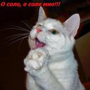 ���� ����, ������, 44 ���� - ��������� 5 ��� 2010