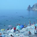 ���� ���������, �����-���������, 37 ��� - ��������� 9 �������� 2010 � ������ ������������ 2010.�