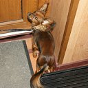 ���� �������, ������, 41 ��� - ��������� 22 �������� 2011 � ������ �������