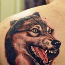 ���� �������, �������������-����������, 56 ��� - ��������� 4 ������ 2013 � ������ �Tattoo�