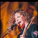 ���� �����, ����� - ��������� 31 ������ 2013 � ������ ���� ����������