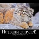 ���� ����@, ��������, 62 ���� - ��������� 4 ��� 2010 � ������ �������-��� ������� ����