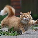 ���� �����, ��������� - ��������� 21 ������ 2013 � ������ ���� ����������