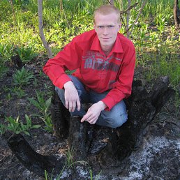 �������, �������, 40 ���