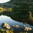  ,  -  22  2012    ߻