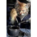 ���� ����, �����-���������, 63 ���� - ��������� 27 ��� 2012 � ������ ���� ����������