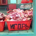 ���� ����, �������� - ��������� 24 ������ 2010 � ������ �������������