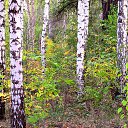 ���� �����, ������ - ��������� 10 ������� 2012 � ������ ���� ����������