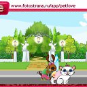  , , 37  -  16  2010   PetLove