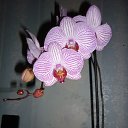 ���� �������, ������������ - ��������� 25 ������� 2012 � ������ ���� ��