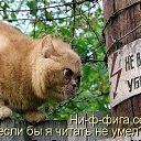 ���� ���������, ������, 71 ��� - ��������� 23 ����� 2013