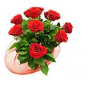  , -- -  14  2013   .....   ...