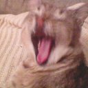 ���� �����, ���������, 46 ��� - ��������� 8 ������� 2011