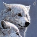 ���� ���������, �������, 59 ��� - ��������� 4 ��� 2013 � ������ ��������Ȼ