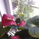 ���� �������, ������, 57 ��� - ��������� 14 ���� 2012 � ������ ���� ������