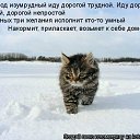 ���� �����, �������, 52 ���� - ��������� 14 ������ 2011