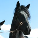 ���� ��������, ���������, 52 ���� - ��������� 3 ���� 2012 � ������ ���������