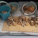 ���� ���, ������ - ��������� 28 ������� 2010 � ������ �������