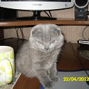 ���� ������, ��������, 48 ��� - ��������� 22 ������ 2012 � ������ ���� ��������