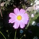 ���� ���� ��, �������, 49 ��� - ��������� 15 ������ 2011 � ������ ���� ���.�