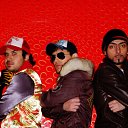  ,  -  22  2010   ROKIS -    