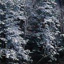 ���� ������, ������ ��������, 38 ��� - ��������� 18 ������ 2011 � ������ ���� ����������