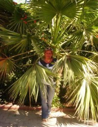 �����, ���������, 50 ���