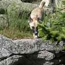 ���� Nata, ����������� - ��������� 22 ������ 2010 � ������ ���� ��������