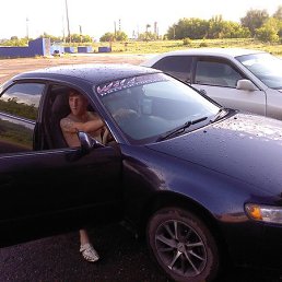 ��������� �������, �����������, 37 ���