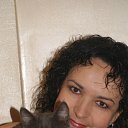 ���� ������, ���������, 54 ���� - ��������� 21 ������� 2013 � ������ ���� ����������