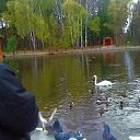 ���� �������, �����������, 48 ��� - ��������� 18 ������ 2012 � ������ �������