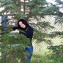 ���� ���������, �����-���������, 43 ���� - ��������� 28 ������� 2011 � ������ ���� ����������