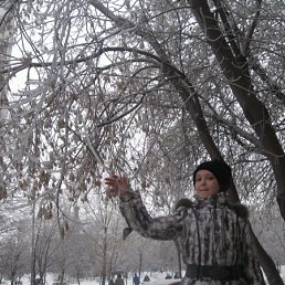 �������, ������, 26 ���