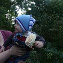 ���� ����, ������, 42 ���� - ��������� 1 ������� 2011 � ������ ���� ����������