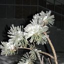 ���� �����, �������, 55 ��� - ��������� 27 ������� 2010 � ������ ��������� �������
