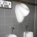  , -, 54  -  12  2010   