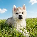 ���� ����� ���, �����-���������, 50 ��� - ��������� 22 ������� 2013