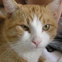 ���� �������, ���������, 24 ���� - ��������� 3 ������� 2011 � ������ ���� �����