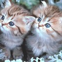 ���� ����, ������, 26 ��� - ��������� 5 ���� 2013 � ������ ���� ����������