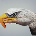 ���� ��@���, ��������� - ��������� 7 ������� 2011 � ������ ������-������........�