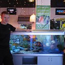 ���� ������ ��������, ������, 40 ��� - ��������� 15 ����� 2013 � ������ ���� ����������